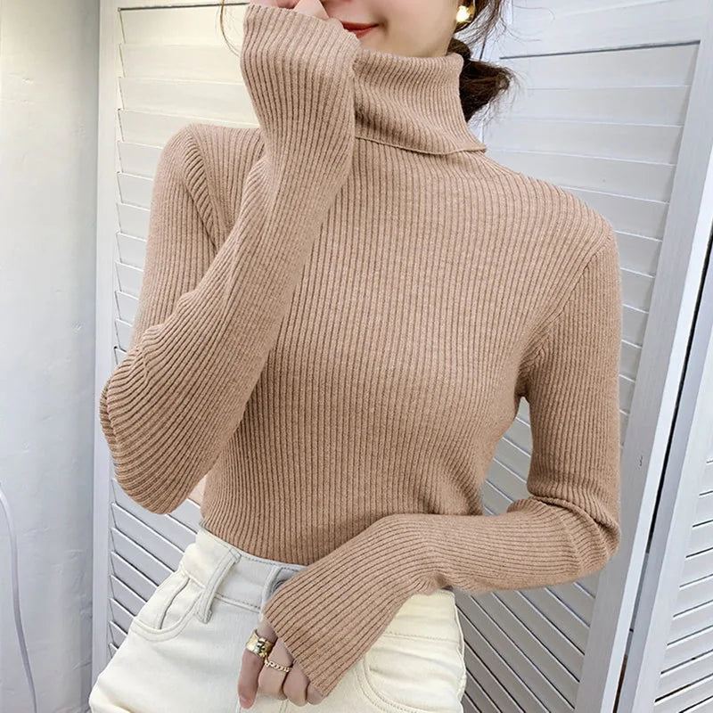 Heliar Premium Cashmere-Blend Turtleneck Sweater