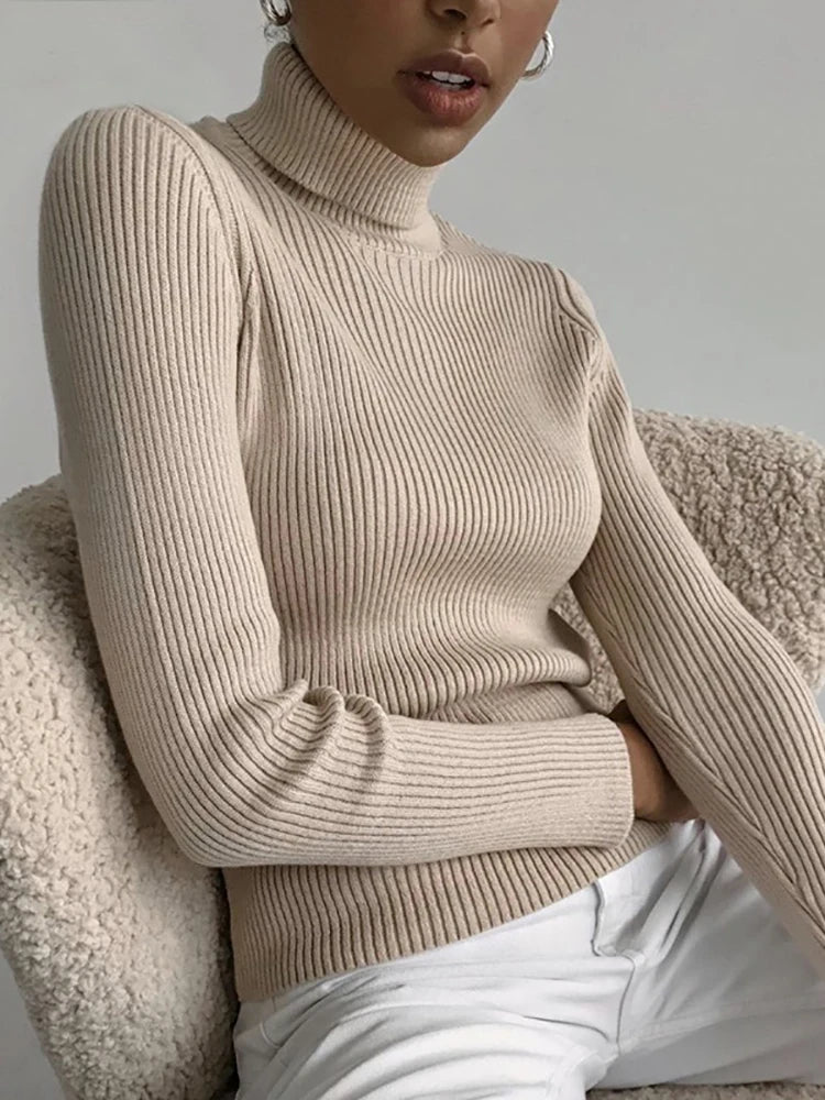 Heliar Premium Cashmere-Blend Turtleneck Sweater
