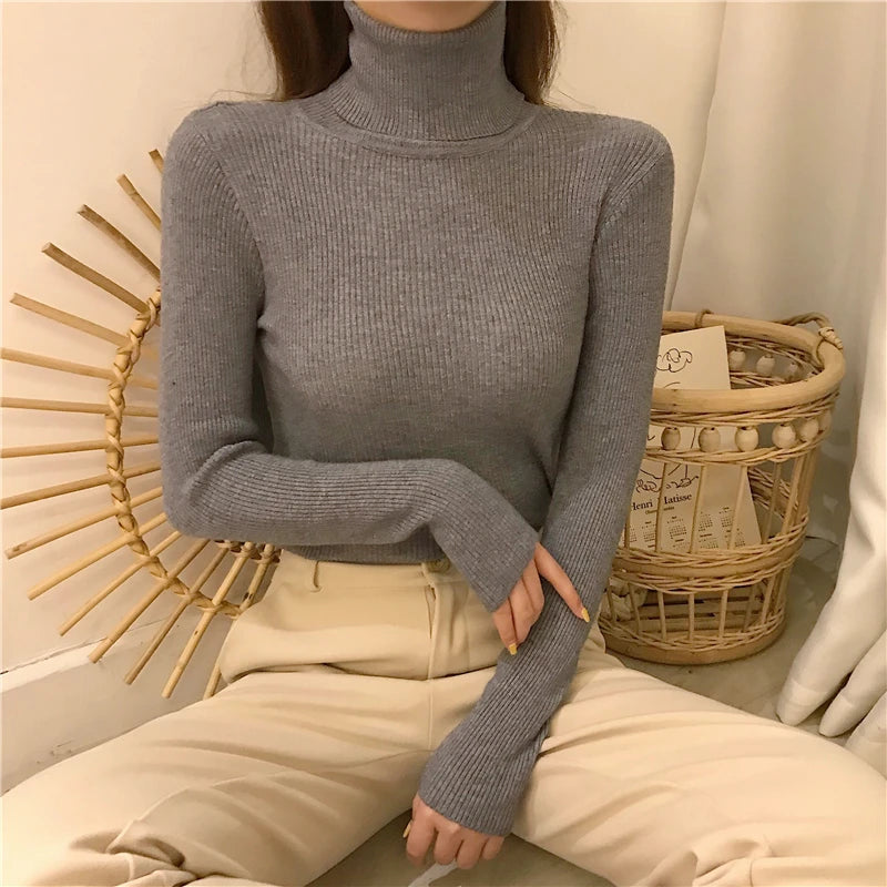 Heliar Premium Cashmere-Blend Turtleneck Sweater