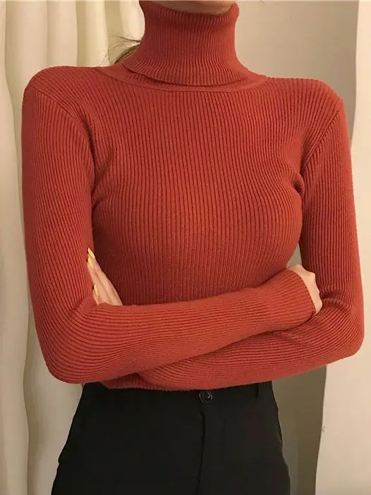 Heliar Premium Cashmere-Blend Turtleneck Sweater