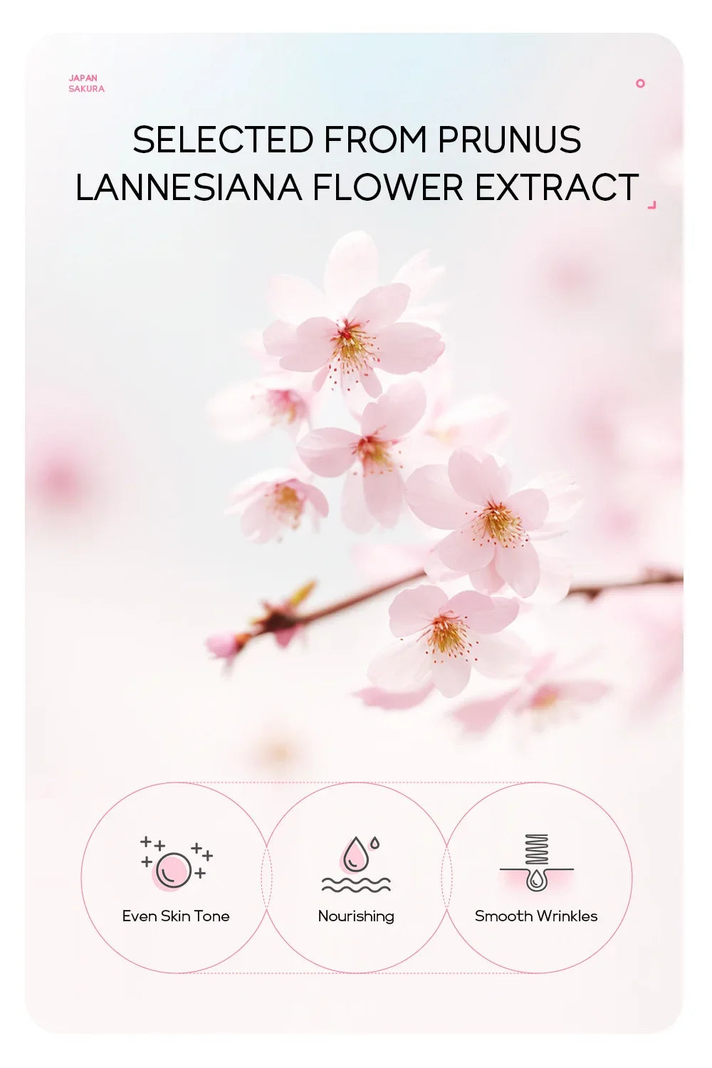 LAIKOU Máscara Facial Peel-Off 24K Gold Sakura