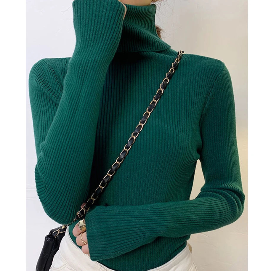 Heliar Premium Cashmere-Blend Turtleneck Sweater