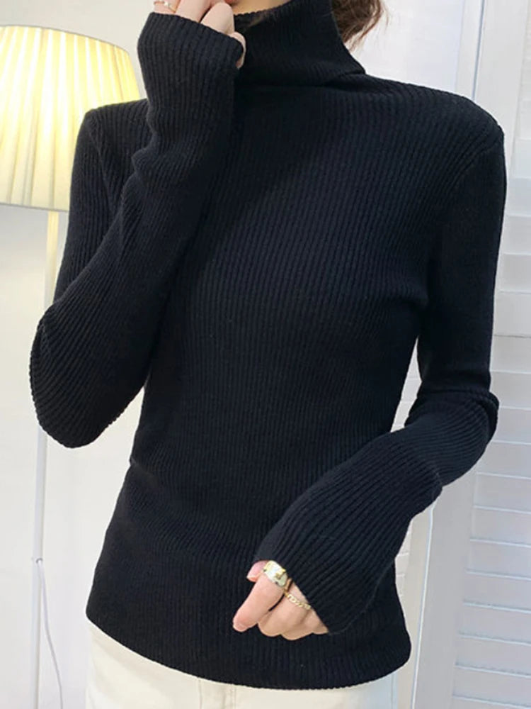 Heliar Premium Cashmere-Blend Turtleneck Sweater