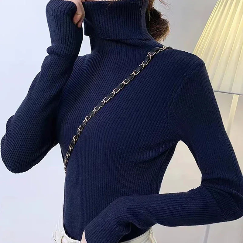 Heliar Premium Cashmere-Blend Turtleneck Sweater