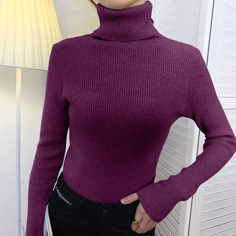 Heliar Premium Cashmere-Blend Turtleneck Sweater